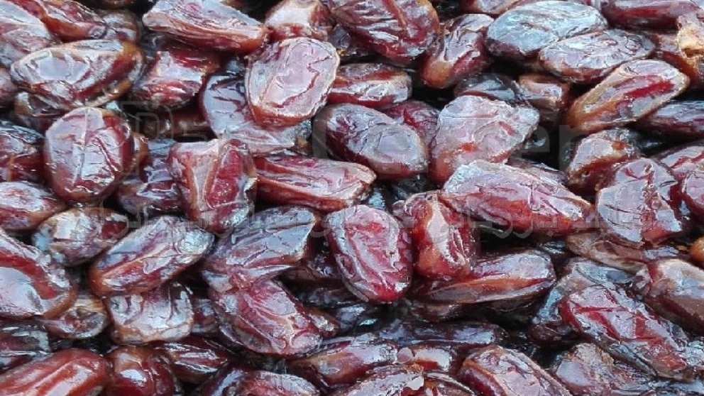 برادران امجزی نژاد